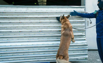 في قلب الألواح العازلة.. إحباط تهريب أكثر من 1.5 مليون حبة كبتاجون بميناء جدة
