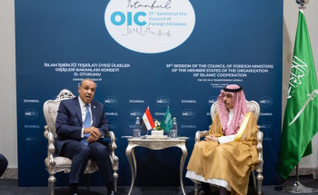 وزير الخارجية يلتقي وزير خارجية مصر