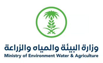 جازان .. المسالخ تستقبل أكثر من 23.300 أضحية خلال أيام عيد الأضحى