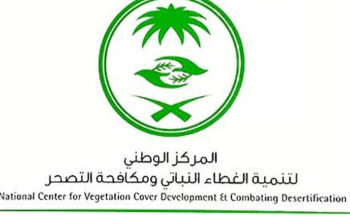 في إنجاز بيئي يُجسد التزام المملكة بالاستدامة.. زراعة 31 مليون شجرة في الشرقية