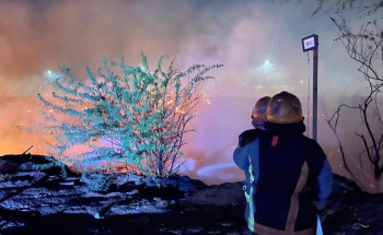 الدفاع المدني بالمدينة المنورة يخمد حريقًا في أشجار بوادي النقمي.. ولا إصابات