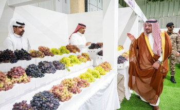 أمير القصيم يزور مهرجان العنب بالقصيم في نسخته الـ 12 بمركز البسيتين
