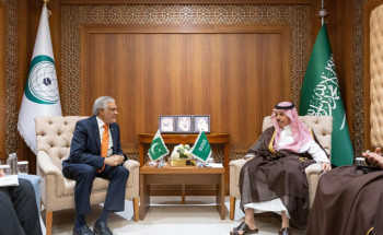 وزير الخارجية ووزير خارجية باكستان يبحثان المستجدات الإقليمية والدولية وفي مقدمتها المستجدات في قطاع غزة