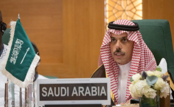 وزير الخارجية: ينبغي على المجتمع الدولي وضع حد للجرائم التي ترتكبها قوات الاحتلال الإسرائيلي