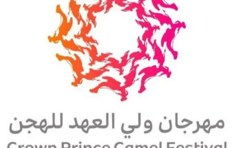 انطلاق النسخة السابعة من مهرجان ولي العهد للهجن بالطائف في سبتمبر المقبل بجوائز تتجاوز 50 مليون ريال