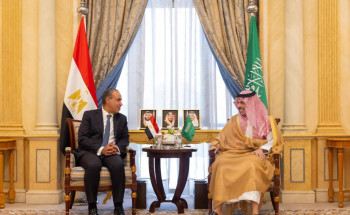وزير الخارجية يستقبل وزير خارجية مصر