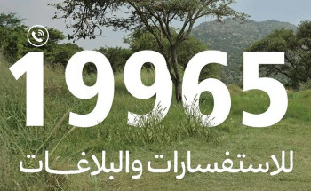 “الغطاء النباتي” يطلق خدمات الرقم الموحد 19965 لتلقي البلاغات والاستفسارات