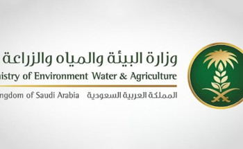 أبرزها التنظيف بالطحالب ..”البيئة” تعتمد 40 تقنية مبتكرة لمواجهة تحديات معالجة المياه وإعادة استخدامها