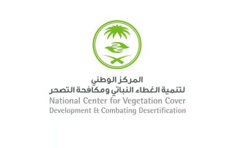 “الغطاء النباتي” يحصر أكثر من 550 موقعًا للأشجار المعمّرة في مختلف المناطق