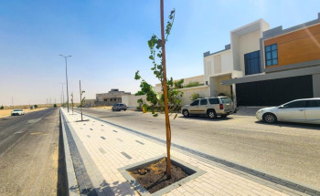 بلدية النعيرية: بدء زراعة 5000 شجرة لتعزيز جودة الحياة وأنسنة المدن