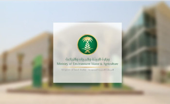 الزراعة الذكية في المملكة.. ثورة خضراء لاستدامة الموارد وتحقيق الأمن الغذائي