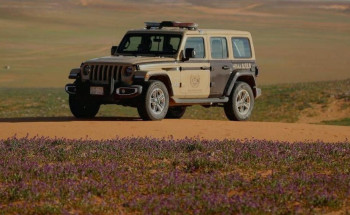 القوات الخاصة للأمن البيئي تضبط عددًا من المخالفين لنظام البيئة