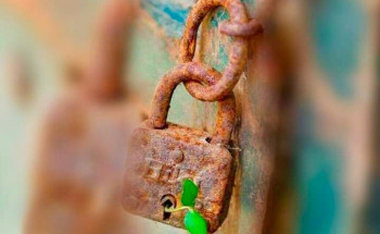 مالكم كيف تحكمون