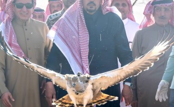 الأمير فيصل بن مشعل يُطلق (20) طائرًا من طيور الحبارى في متنزه القصيم الوطني