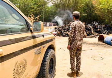 ضبط مخالفين لنظام البيئة يقطعون الأشجار لتحويلها إلى فحم بمنطقة مكة المكرمة