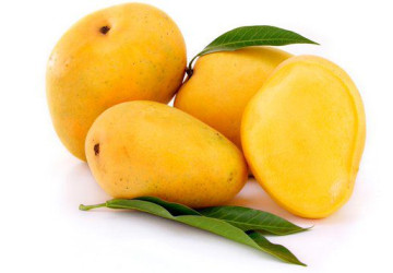 تدشين مهرجان مانجو أملج 2021 غداً الأربعاء