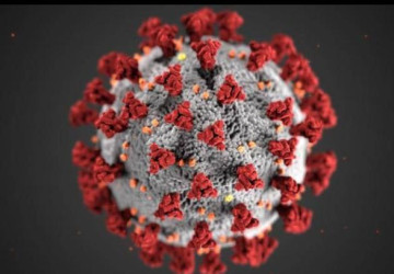 نسخة متحورة جديدة من فايروس كورونا رُصدت للمرة الأولى في كولومبيا