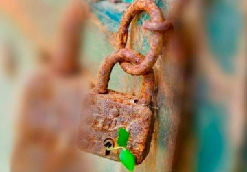 مالكم كيف تحكمون