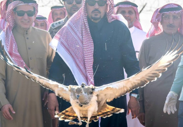 الأمير فيصل بن مشعل يُطلق (20) طائرًا من طيور الحبارى في متنزه القصيم الوطني