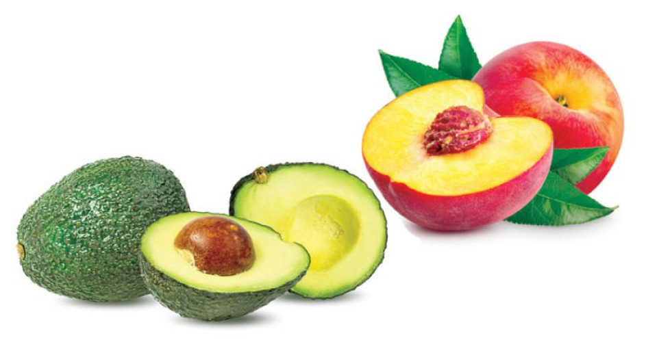 5 أطعمة غنية بفيتامين «د» يحتاج إليها الجسم خلال فصل الصيف