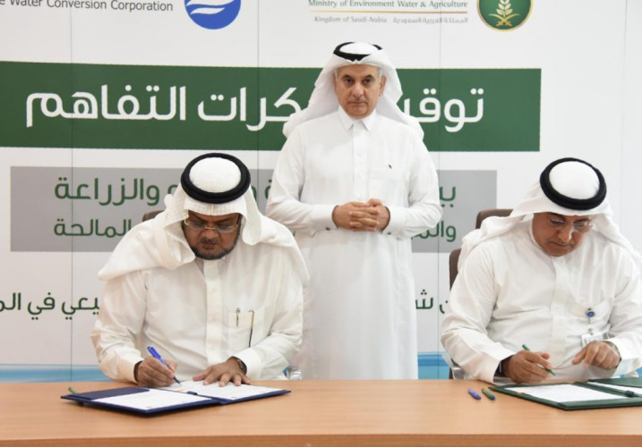 البيئة” و”التحلية” تتفقان على زراعة 5 ملايين شجرة بنهاية 2030