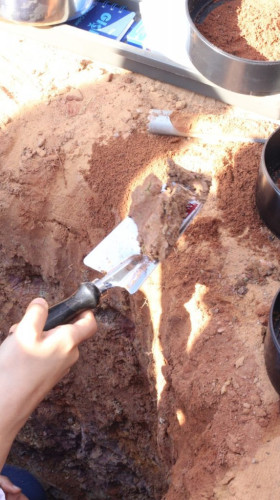 إدارة “تعليم الجوف” تختتم برنامج جلوب البيئي