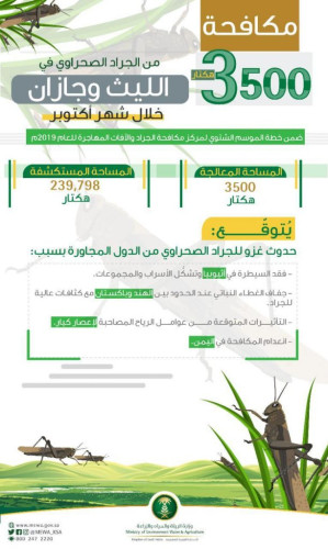 “البيئة” تكافح الجراد في 3,5 ألف هكتار بالليث وجازان.. وتتوقع غزواً من البلدان المجاورة