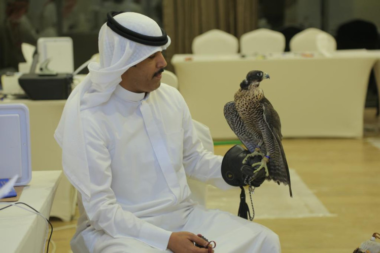 كثافة الصقارين الراغبين بالتسجيل في مسابقات مهرجان المؤسس تبنئ بمنافسة قوية