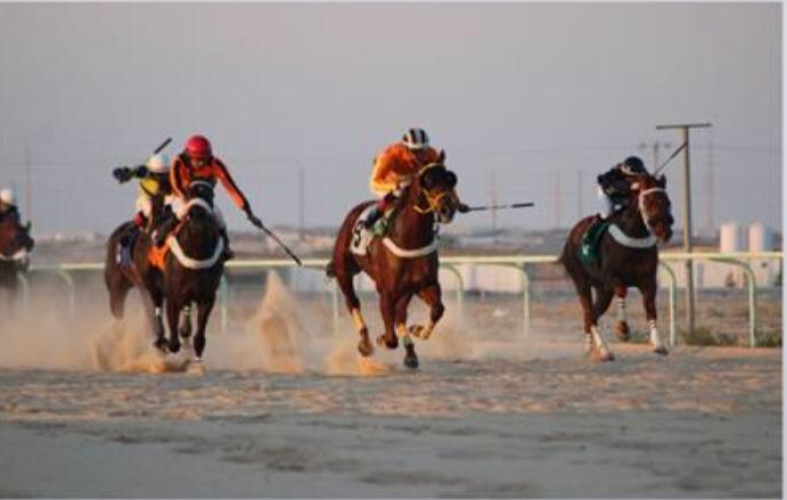 وكيل محافظة الاحساء يرعى منافسات الحفل السابع لسابقات ميدان الفروسيه