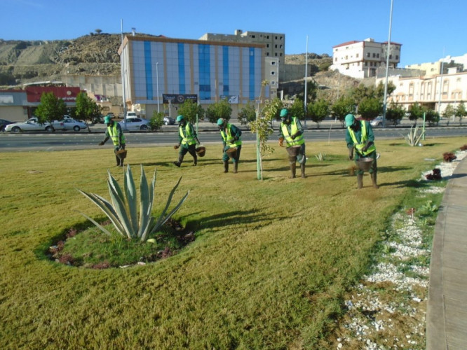 تأهيل تجميلي لـ ٨٠ موقعًا ببرنامج تخضير الطائف