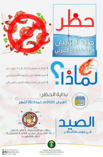 البيئة تحظر صيد الروبيان حفاظاً على مخزونه الإستراتيجي