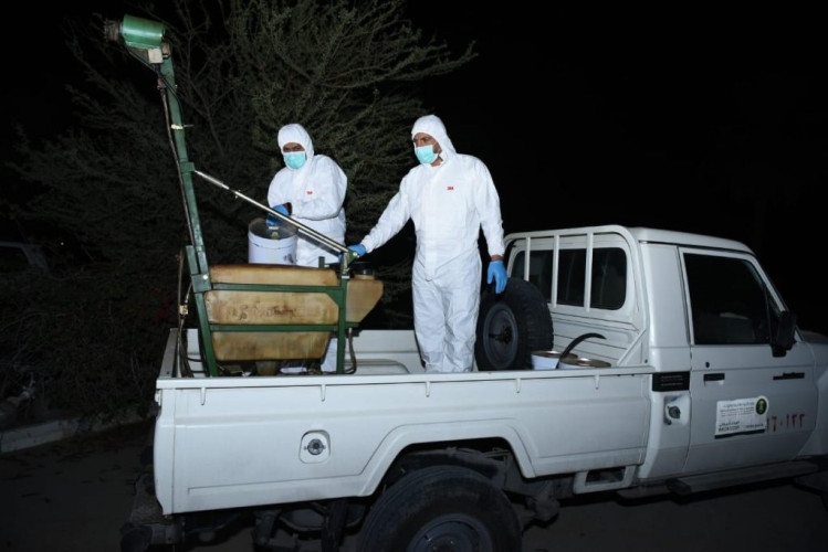 فرق المكافحة بمكتب البيئة والمياه والزراعة تتصدى لأسراب من الجراد بالاحساء