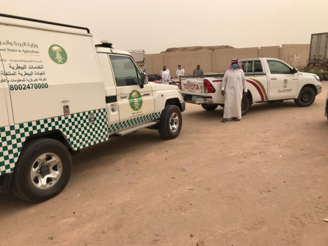 اغلاق جميع أسواق الطيور الشعبية بمحافظة الأحساء