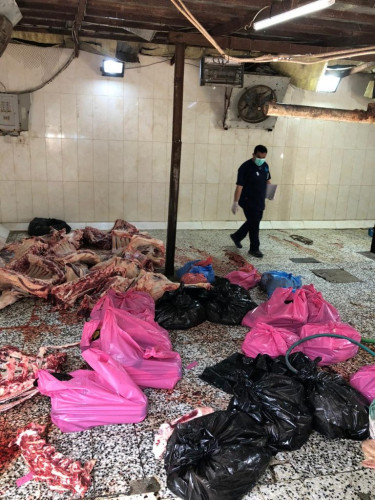 بلدية القطيف تضبط مسلخا عشوائيا يمارس الذبح دون ترخيص وفي بيئة غير صحية في سيهات