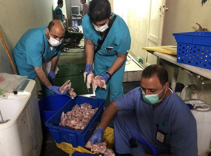 أمانة الشرقية :تضبط مسلخًا مخالفًا وتتلف أكثر من 17 ألف كجم من المواد الغذائية الفاسدة