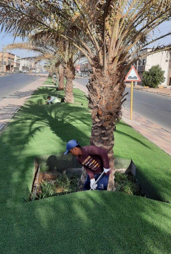 بلدية رفحاء تنفذ أعمال سفلتة وتأهيل ومعالجة عدد من شوارع الأحياء وصيانة الحدائق العامة