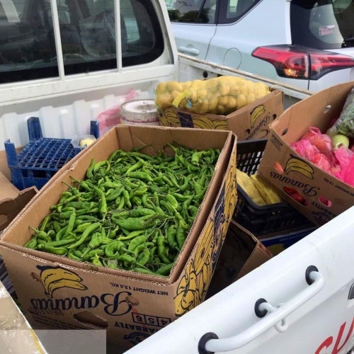 أمانة العاصمة المقدسة تواصل حملاتها على الباعة الجائلين