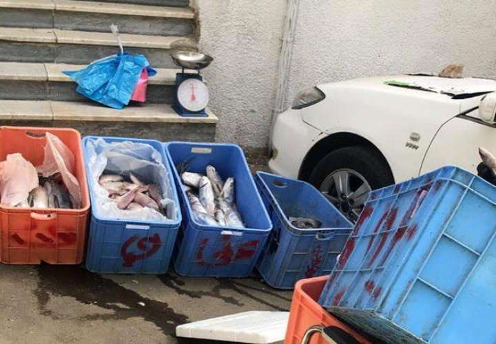 أمانة العاصمة المقدسة تصادر 398 كجم من المواد الغذائية غير الصالحة للاستهلاك في المسفلة