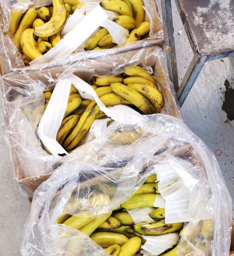 مصادرة وإتلاف 105 كجم فواكه في السوق المركزي بالكعكية