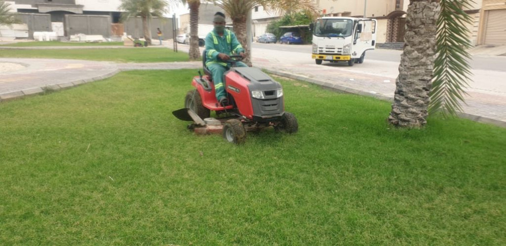 بلدية القطيف تزرع أكثر من 232 ألف زهرة في شوارع وأحياء المحافظة