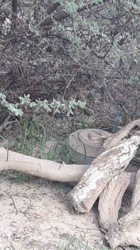 الدفاع المدني بمنطقة جازان يبطل مفعول لغمٍ أرضي بأحد الأودية جرفته السيول المنقولة من الأراضي اليمنية