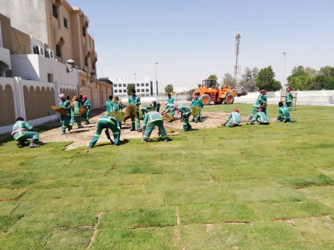 بلدية القطيف تنشئ حديقة جديدة في الاسكان بمساحة ٢٠٠٠م٢
