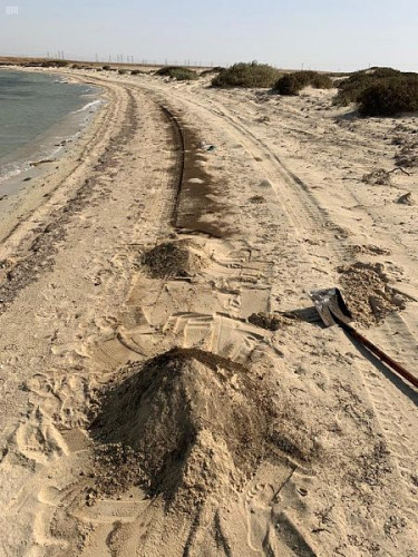 “السعودية للكهرباء” تزيل تلوث زيتي بطول أكثر من 1500 متر على شاطئ “الشعيبة”