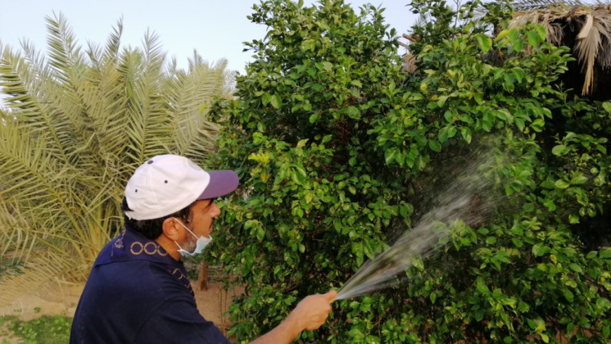 رواد كشافة محافظة المجمعة تفعل “‎اليوم العالمي للبيئة”