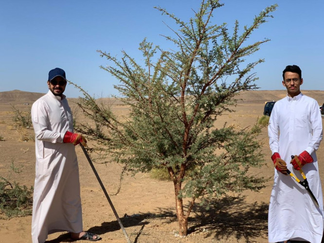 رابطة تبوك الخضراء تتابع برنامجها الأول لتنمية الغطاء النباتي بالمنطقة في اليوم العالمي لمكافحة التصحر
