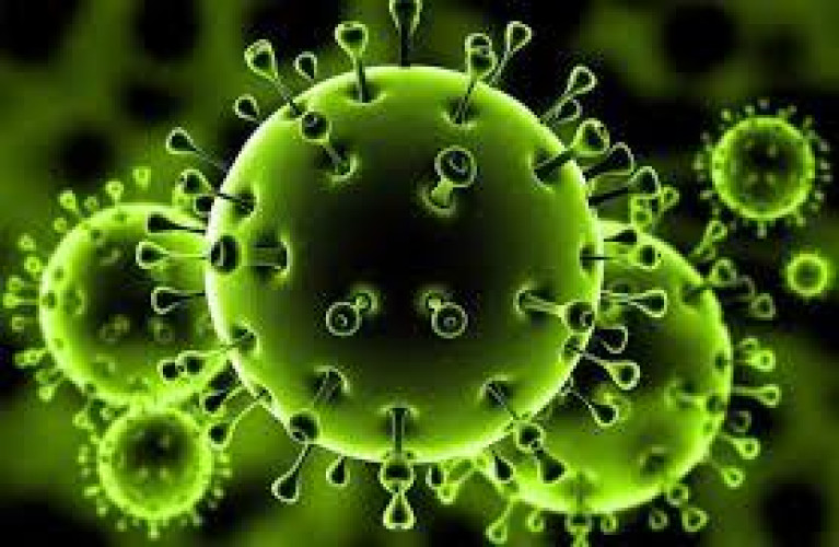 “مهره الحضرمي” تكشف قصتها مع وسائل التوعية في ظل انتشار وباء كورونا