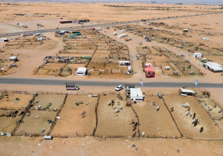 أمانة الجوف تشرع بتنفيذ خطه شاملة لتطوير أسواق النفع العام وتبدأ بتوسعة وتطوير سوق الإبل بمدينة سكاكا