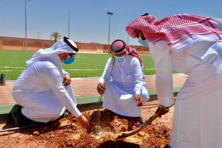 مدير صحة وبيئة الجوف يفتتحان اليوم العالمي للتصحر بزراعة 50 ألف شتلة
