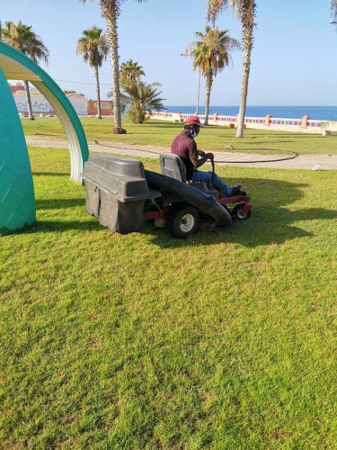 بلدية الوجه تواصل أعمالها لتحسين المشهد الحضري