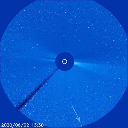 المذنب نوايز يقترب من الشمس